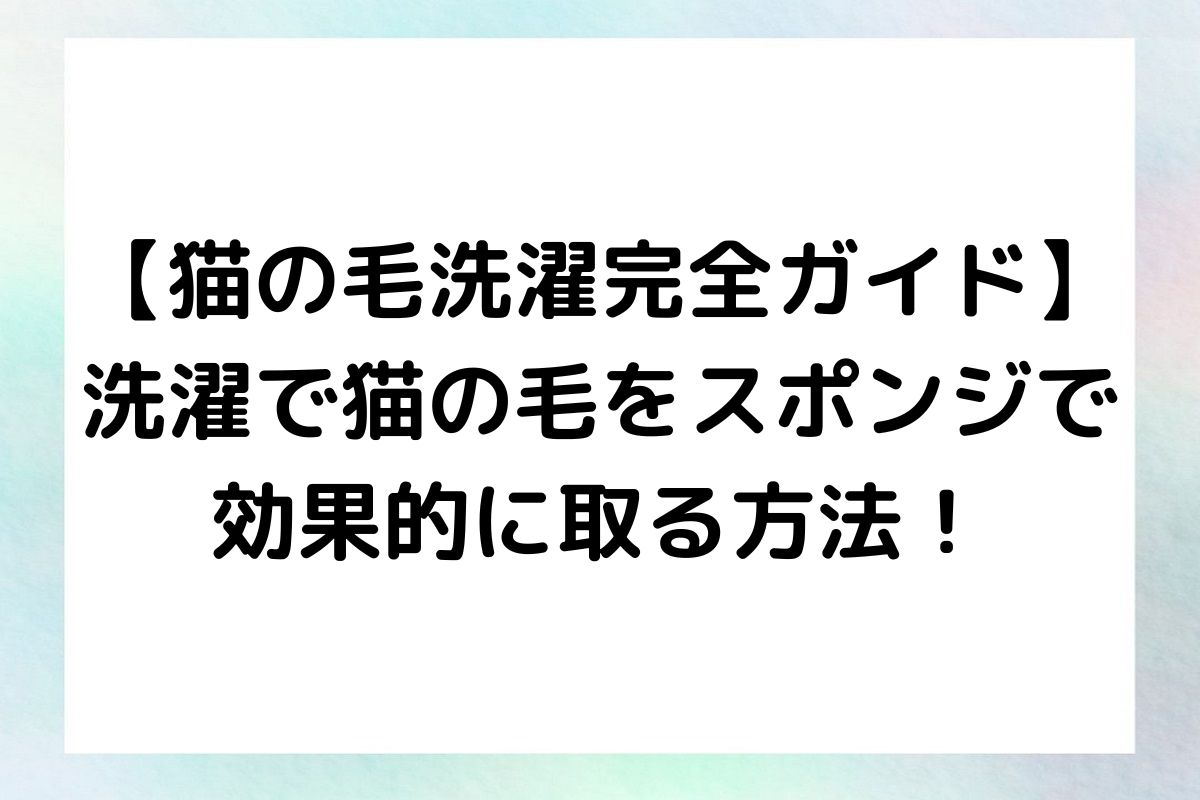 洗濯時に猫の毛を効果的に取り除く方法と、日常生活での予防策をご紹介します。